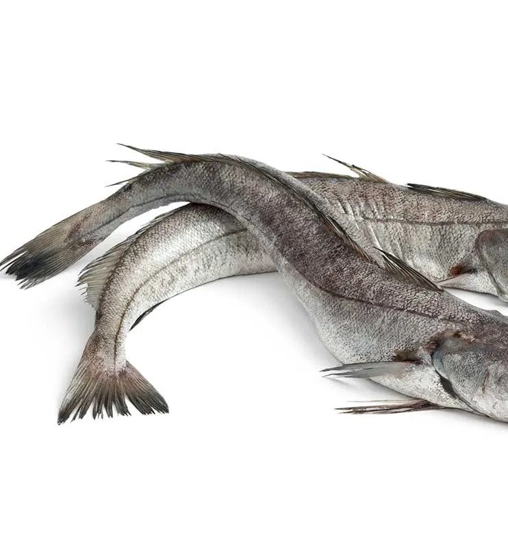 treny-market-hake-fish-1.jpg