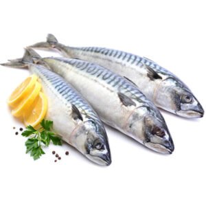 Mackerel Fish ( Titus ) 5kg