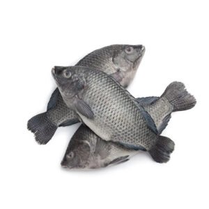 Whole Tilapia Fish - Box