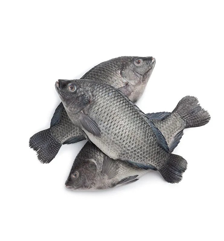 treny-market-whole-tilapia-fish-box.jpg